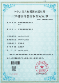 Software Copyright certificate